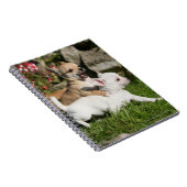 Chihuahua Puppy Pplay Notitieboek (Rechterzijde)