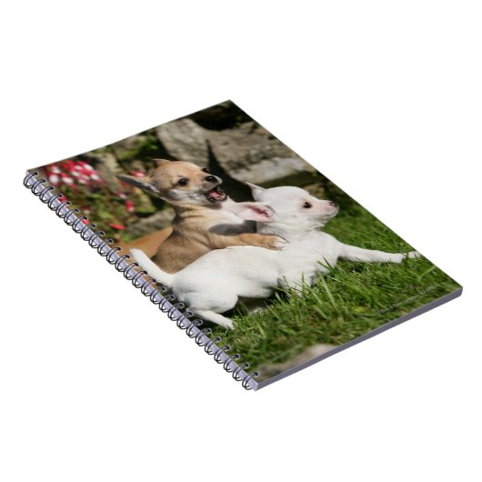 Chihuahua Puppy Pplay Notitieboek (Rechterzijde)