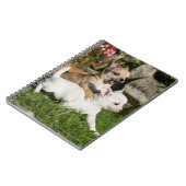 Chihuahua Puppy Pplay Notitieboek (Linkerzijde)