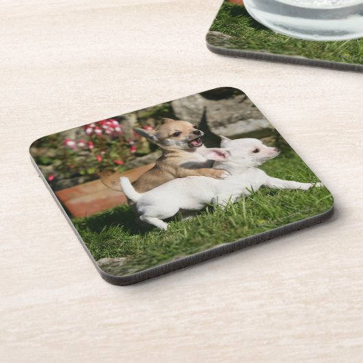 Chihuahua Puppy Pplay Onderzetter (Linkerzijde)