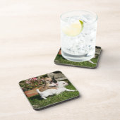 Chihuahua Puppy Pplay Onderzetter (Rechterzijde)