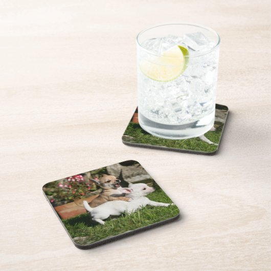 Chihuahua Puppy Pplay Onderzetter (Rechterzijde)