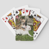 Chihuahua Puppy Pplay Pokerkaarten (Achterkant)