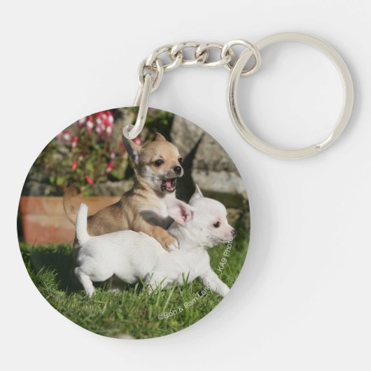 Chihuahua Puppy Pplay Sleutelhanger (Achterkant)