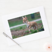 Chihuahua Puppy Rechthoekige Sticker (Envelop)