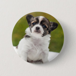 Chihuahua Puppy Ronde Button 5,7 Cm