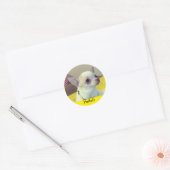 Chihuahua Puppy  Ronde Sticker (Envelop)