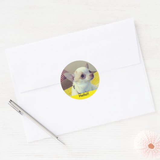 Chihuahua Puppy  Ronde Sticker (Envelop)