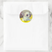 Chihuahua Puppy  Ronde Sticker (Tas)