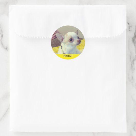 Chihuahua Puppy  Ronde Sticker (Tas)