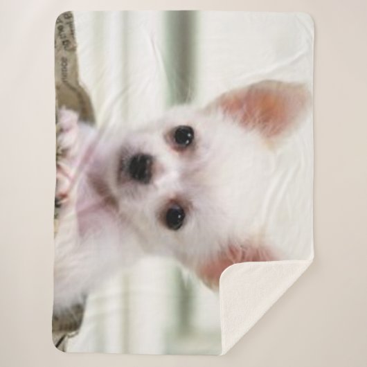 CHIHUAHUA PUPPY SHERPA DEKEN (Voorkant)