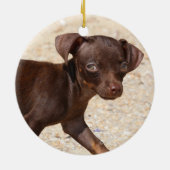 Chihuahua Puppy Walking Keramisch Ornament (Achterkant)