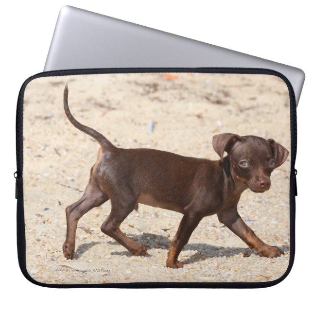 Chihuahua Puppy Walking Laptop Sleeve (Voorkant)