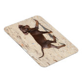 Chihuahua Puppy Walking Magneet (Rechterzijde)