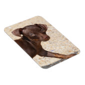 Chihuahua Puppy Walking Magneet (Rechterzijde)