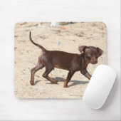 Chihuahua Puppy Walking Muismat (Met muis)