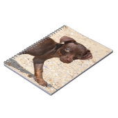 Chihuahua Puppy Walking Notitieboek (Linkerzijde)