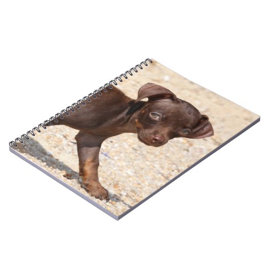 Chihuahua Puppy Walking Notitieboek (Linkerzijde)