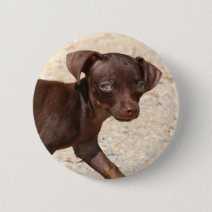 Chihuahua Puppy Walking Ronde Button 5,7 Cm