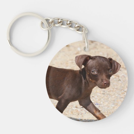 Chihuahua Puppy Walking Sleutelhanger (Voorkant)