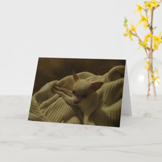 Chihuahua Puppy Wenskaart Kaart (Gele Bloem)