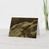 Chihuahua Puppy Wenskaart Kaart (Voorkant)