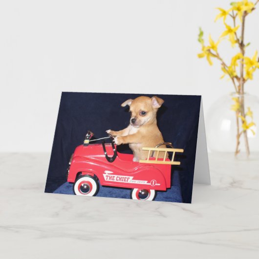 Chihuahua puppy wenskaart kaart (Gele Bloem)