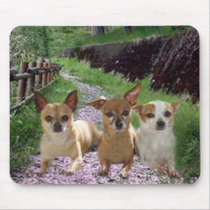 Chihuahua Purple Flowers Mousepad Muismat