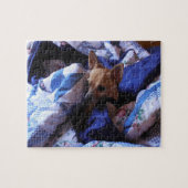 Chihuahua Puzzle Legpuzzel (Horizontaal)