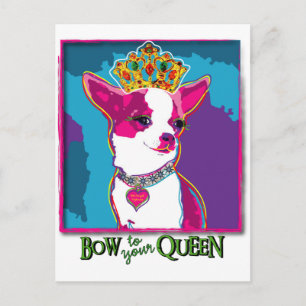 Chihuahua Queen Briefkaart