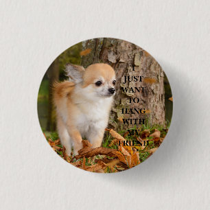 Chihuahua    ronde button 3,2 cm