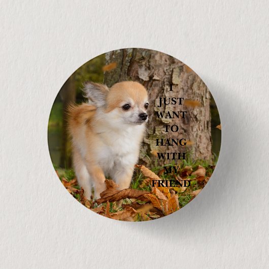 Chihuahua    ronde button 3,2 cm (Voorkant)