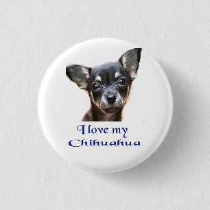 chihuahua ronde button 3,2 cm