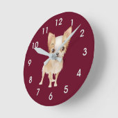 chihuahua ronde klok (Hoek)