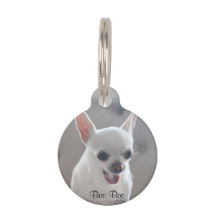 Chihuahua Round Small Pet Tag Voeg foto toe Huisdierpenning