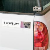 chihuahua roze, IK HOU VAN MIJN bumper sticker (Op Truck)