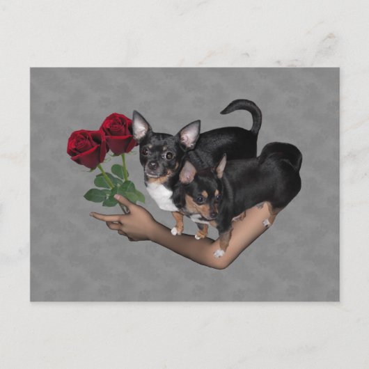 Chihuahua Rozen Briefkaart (Voorkant)