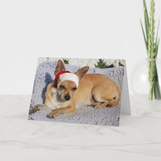 Chihuahua Santa Feestdagen Kaart (Voorkant)