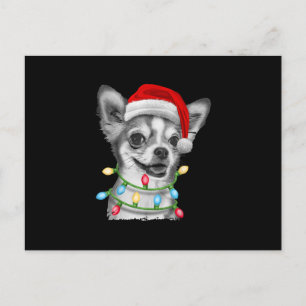 chihuahua santa kerstboom lichten xmas cadeaus feestdagenkaart