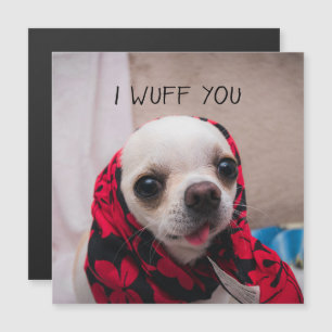 Chihuahua schattig Ik ben gek op Valentijnse kaart