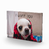 Chihuahua schattig... ik maak je gek op Valentijns Fotoblokken (Rechts)