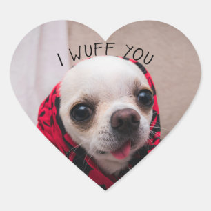 Chihuahua schattig... ik maak je gek op Valentijns Hart Sticker