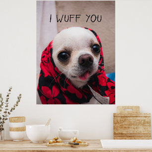 Chihuahua schattig... ik maak je gek op Valentijns Poster