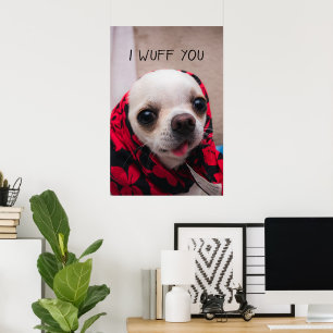 Chihuahua schattig... ik maak je gek op Valentijns Poster