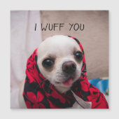 Chihuahua schattig Ik wuf je liefde Valentijnskaar (Voorkant)