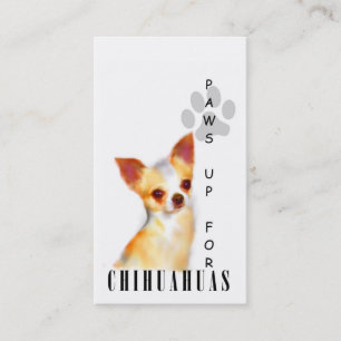 Chihuahua schept Visitekaartjes op