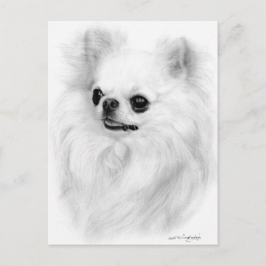 Chihuahua Schoonheid - Hand geschilderd kunstwerk Briefkaart (Voorkant)