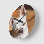 Chihuahua slaperige knipoog ontspannen tong uit Fo Ronde Klok (Hoek)