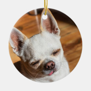 Chihuahua slapy squint relaxed tongue out Foto Keramisch Ornament