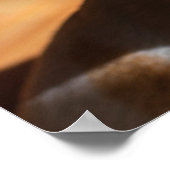 Chihuahua slapy squint relaxed tongue out Foto Poster (Hoek)